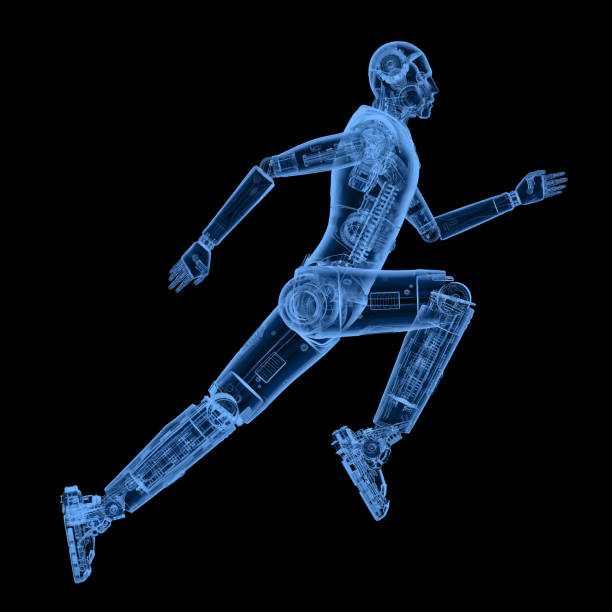 3d rendering x-ray humanoid robot running or jumping on white background